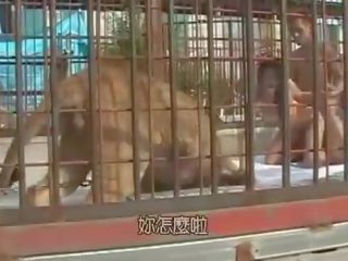 Giapponese pollastrella scopata dentro il lions gabbia