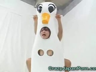 일본의 duck 정부 facialed!